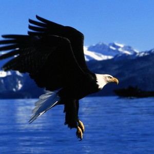 7 buone ragioni per visitare l'Alaska in inverno