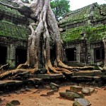 angkor wat  cambogia