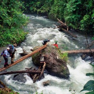 019412 dtnews kokoda trail1