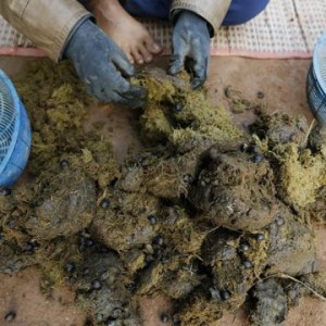 45d2f6998920c37c9d546fcfb708bce4 640x360