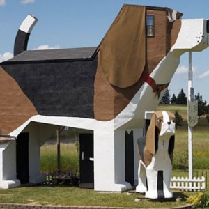 beagle house