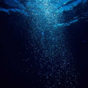 deep ocean larvae hitch ride powerful eddies 284 600x381