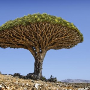 life 85 672 458 resize