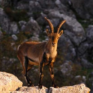 140029828 12339ca7 95bf 4045 b99e 4774875fbe00