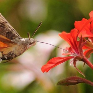 178ee4c6 e457 11e4 868a ccb3b14253dc