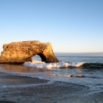Natural bridges state beach Santa Cruz California
