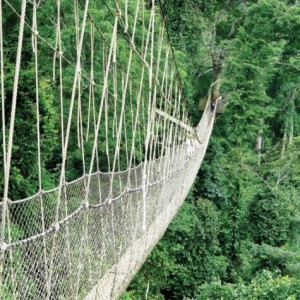 il ponte sospeso del kakum national park
