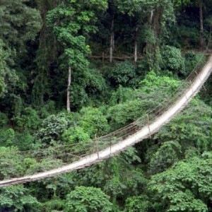 il ponte sospeso di sangam in india