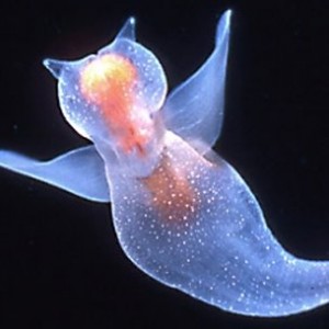 tumblr lfg5bqiI2Q1qfx8h8o1 400