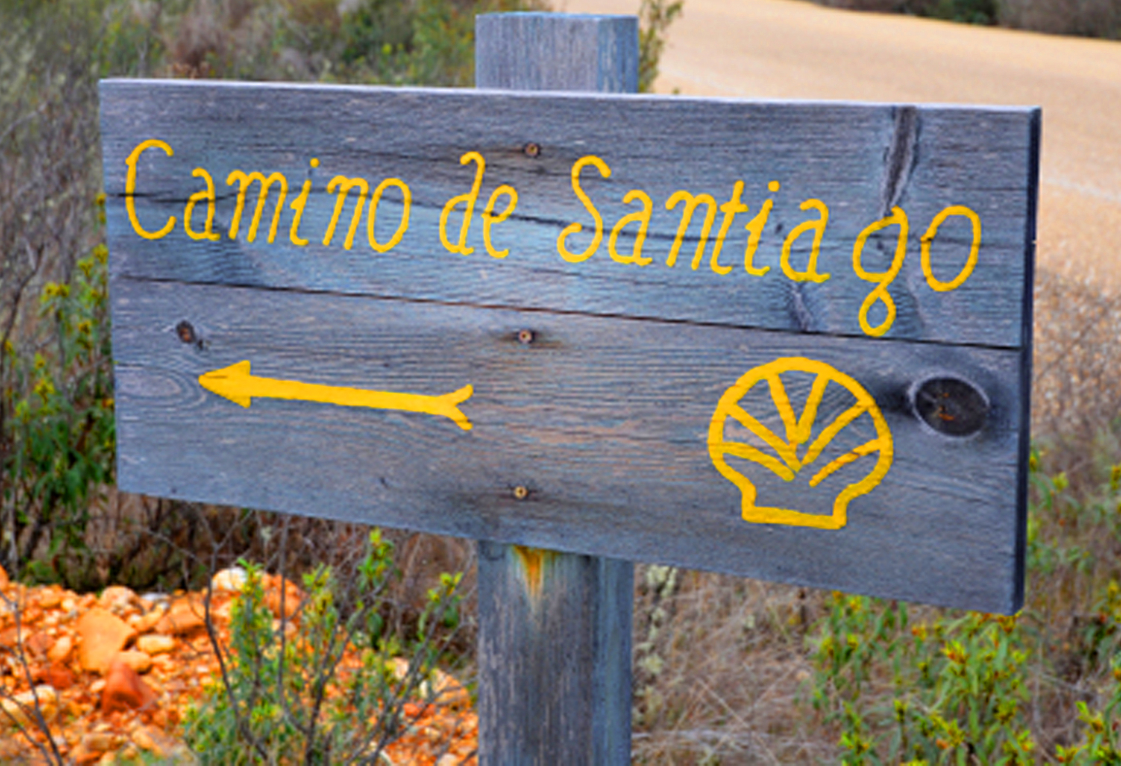 WP Camino sign