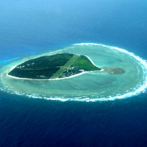 Lady Elliot Island gallery 1