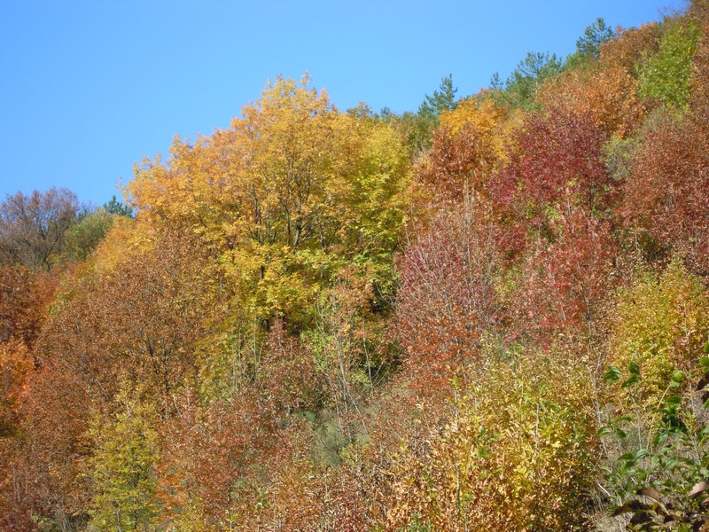 Cinque borghi dell'Umbria da visitare in autunno