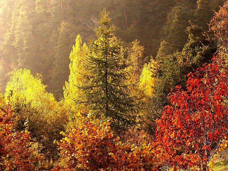 10 itinerari trekking autunno in Valle D’Aosta