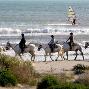 camargue