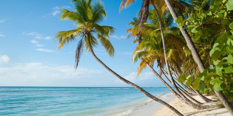 Viaggio ideale per estate dei segni zodiacali