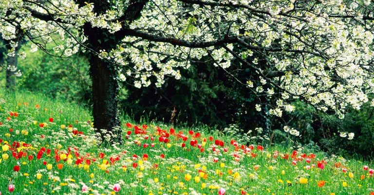 Come vestirsi in Sicilia a marzo