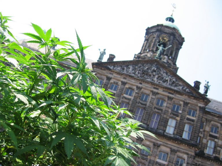 Quali sono migliori Coffeeshop amsterdam quartiere a luci rosse