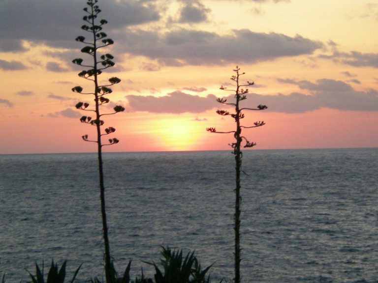Temperatura acqua in Sicilia mese di settembre