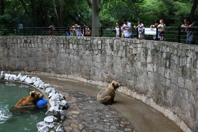metro per zoo di Londra