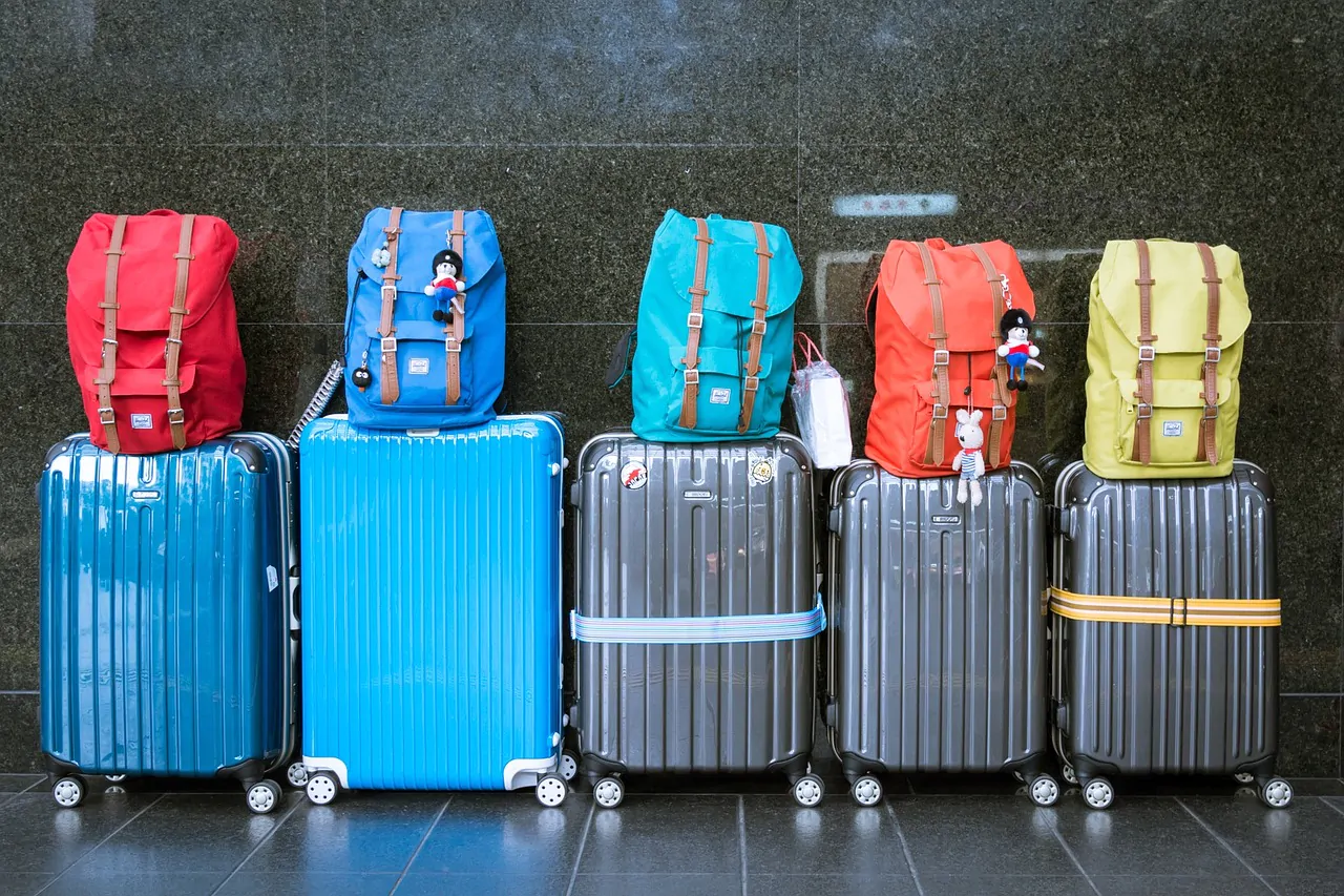 Cinghia per valigia: il modello migliore