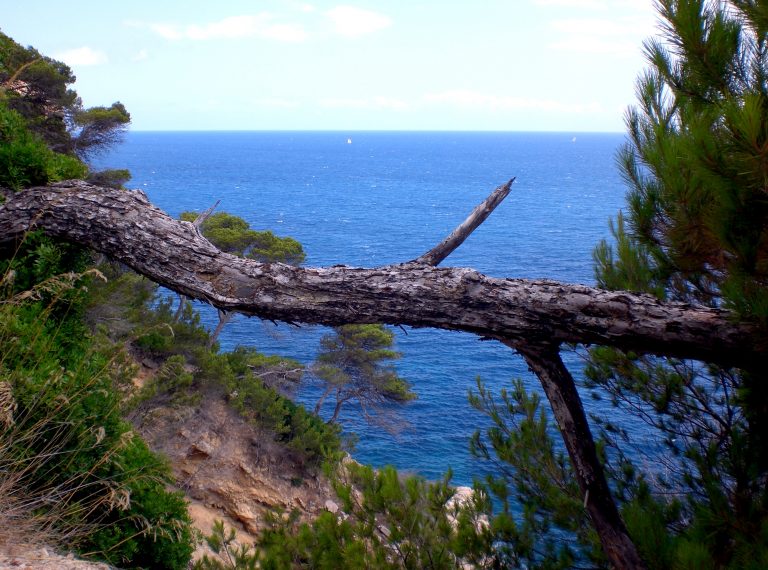 maiorca dove dormire