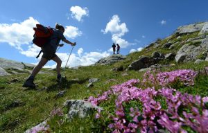 Visitare le Dolomiti: 3 buone ragioni per andarci ad ottobre