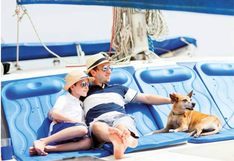 viaggio con il pet 1