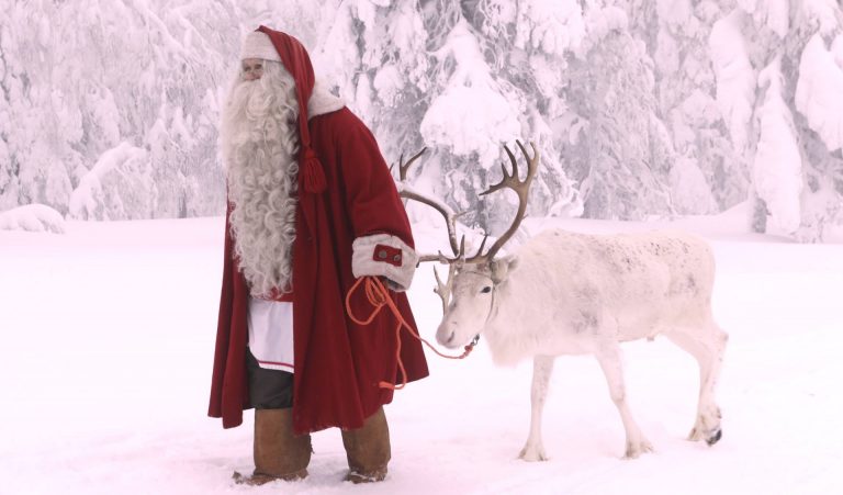 15578362 1256425014413871 2726166503299552413 o