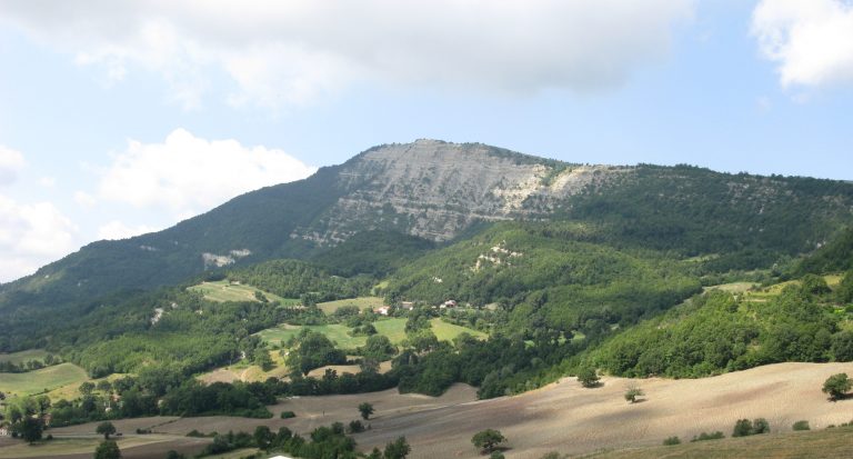 Monte Carpegna II