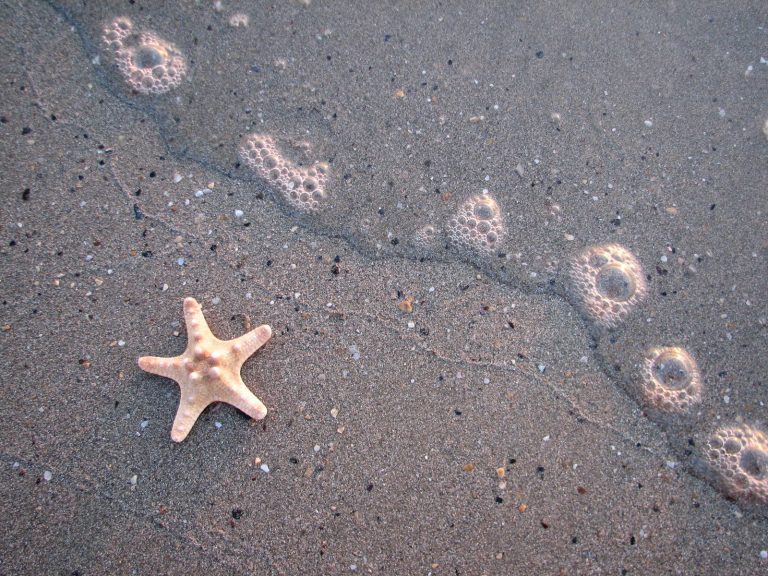 cosa mettere in valigia