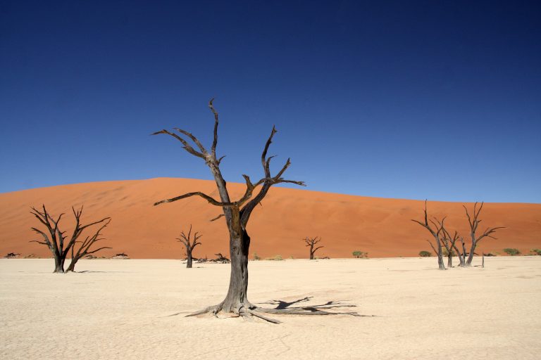dead vlei