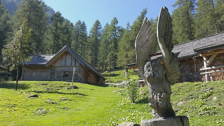 oasi wwf di valtrigona