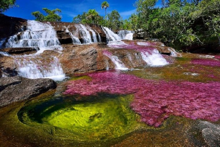 Caño cristales