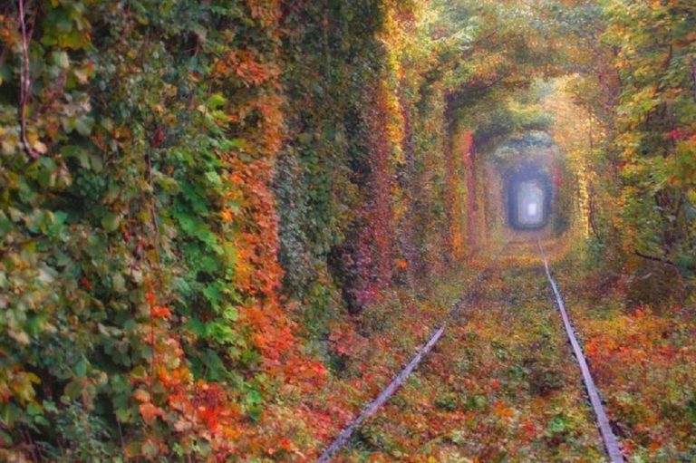 tunnell dell'amore