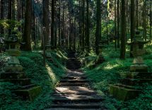 natura