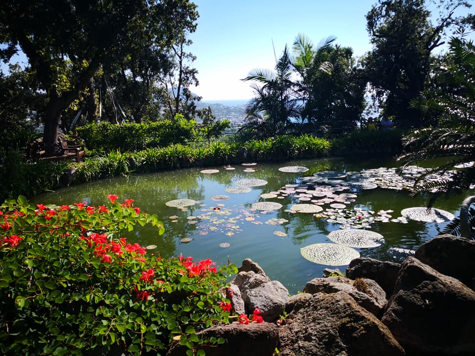 Giardini la Mortella