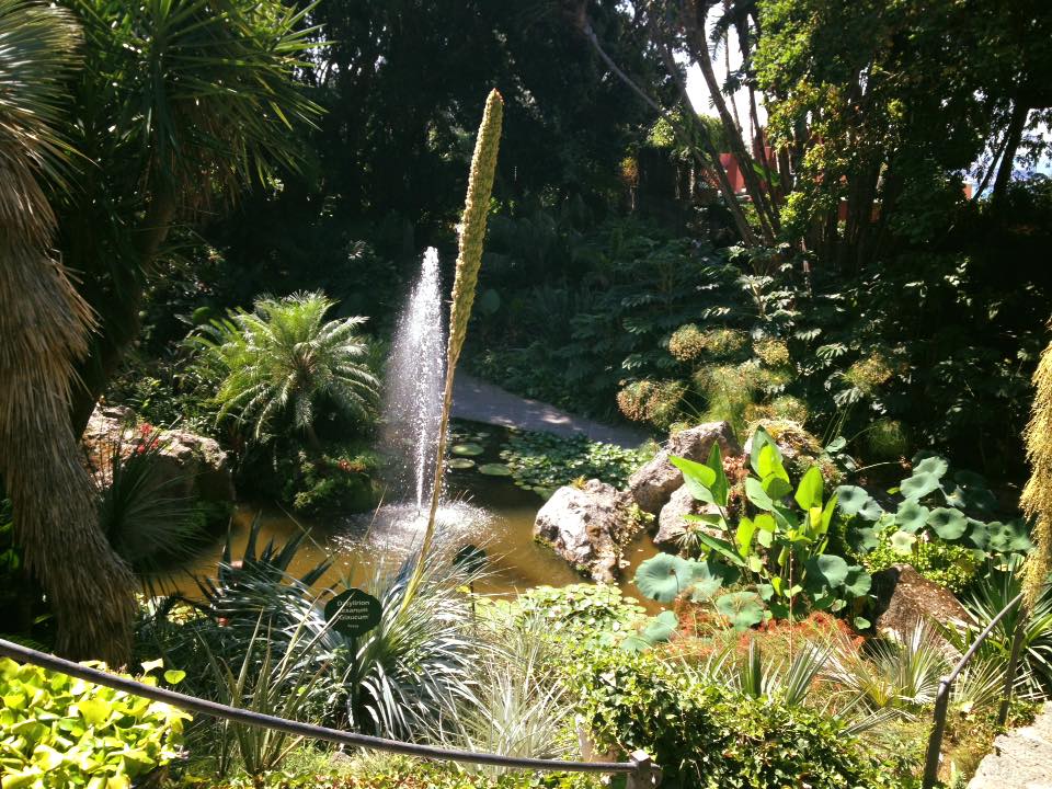 Giardini la Mortella