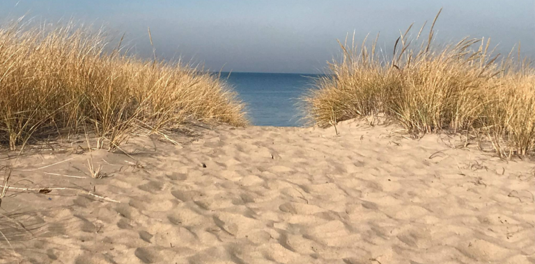 indiana dunes