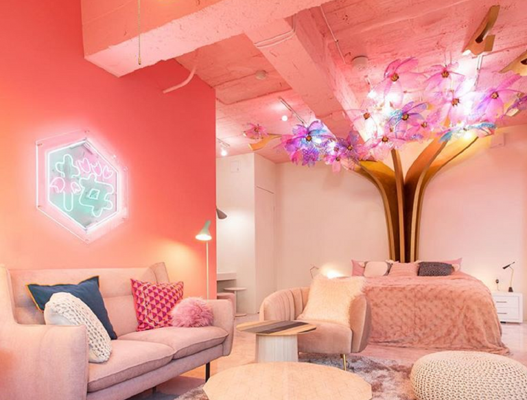 Tokyo, come soggiornare in una casa ispirata alla fioritura di ciliegi