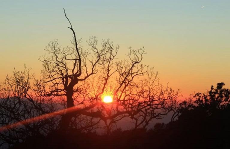 meteo, torna il bel tempo nel week end