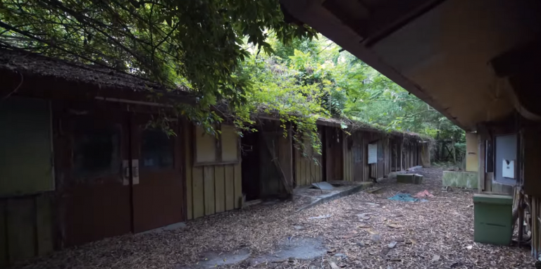 Discovery Island: il parco abbandonato della Disney