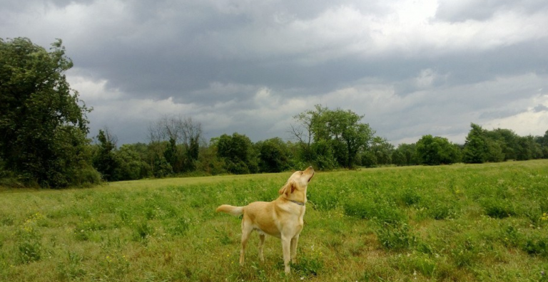 Meteo: aumento del freddo al Nord, tempo stabile al Sud