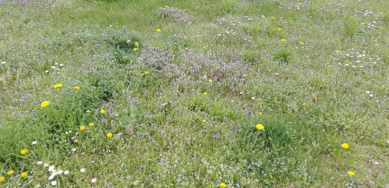 Meteo, temperature in aumento: è arrivata la primavera