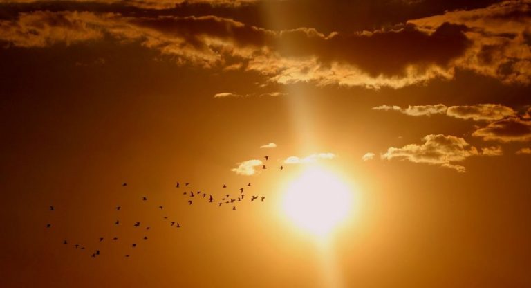 meteo previsioni 9 giugno