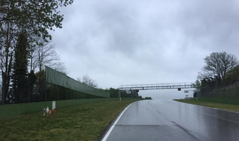 meteo, le previsioni di oggi 9 aprile 2019