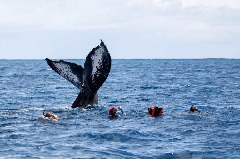 Repubblica Dominican