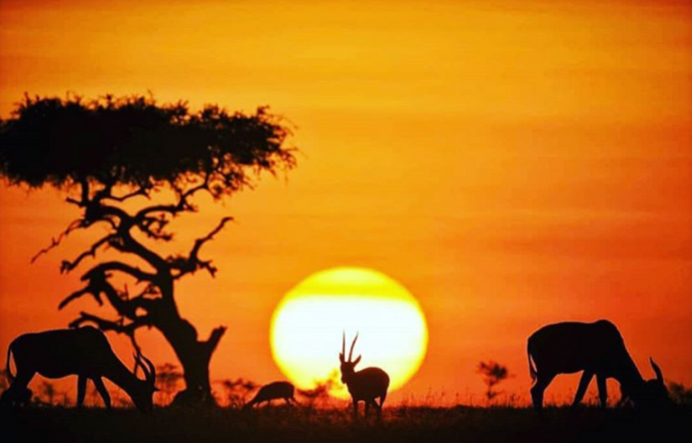 Cosa vedere in Africa: le destinazioni da non perdere