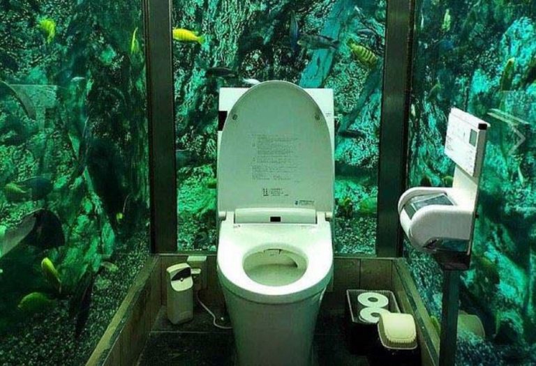 Giappone, bagno per sole donne dentro un acquario