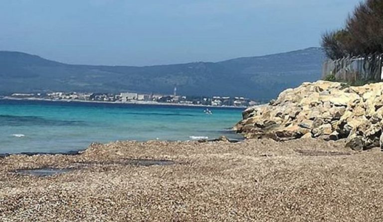 Souvenir della Sardegna: multe per i predatori di conchiglie e sabbia