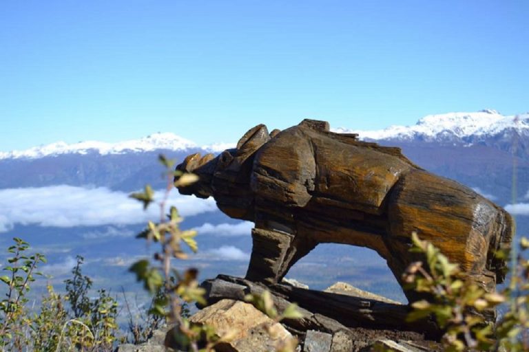 foresta intagliata el bolson